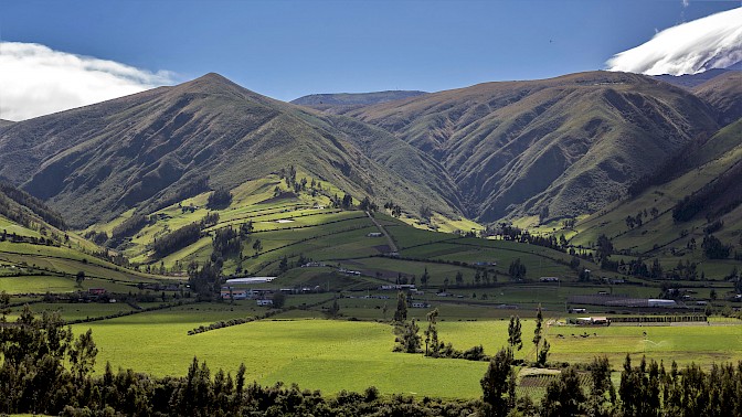 Quinoa Travel