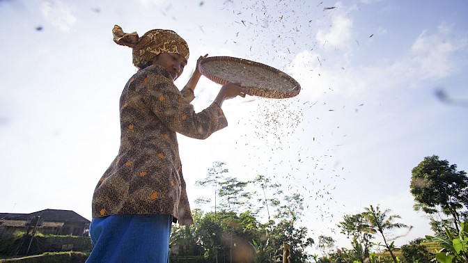 Quinoa Travel