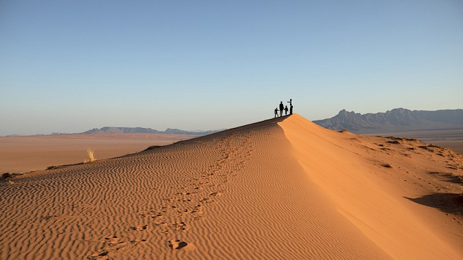 Quinoa Travel