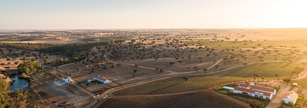 Quinoa Travel