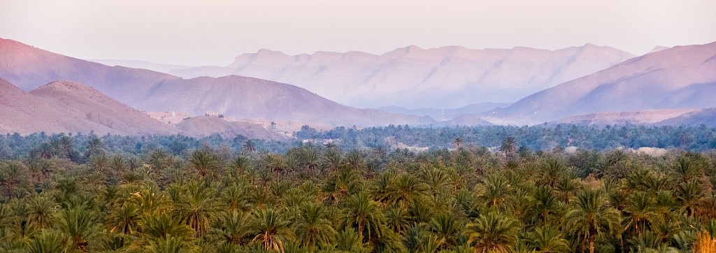 Quinoa Travel