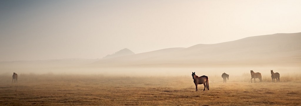 Quinoa Travel