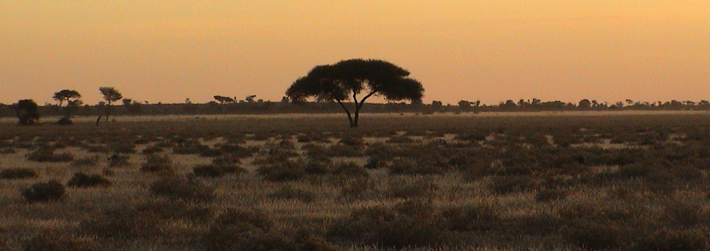 Quinoa Travel