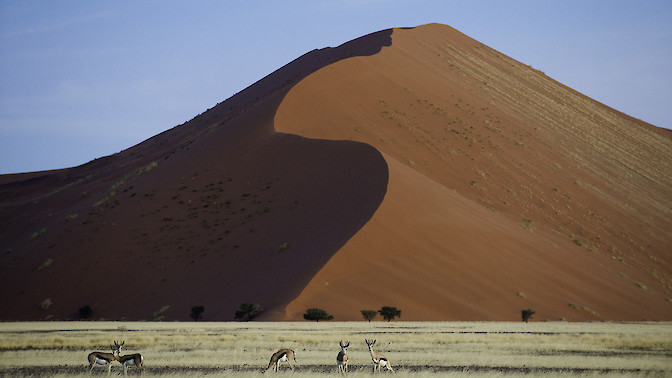 Quinoa Travel