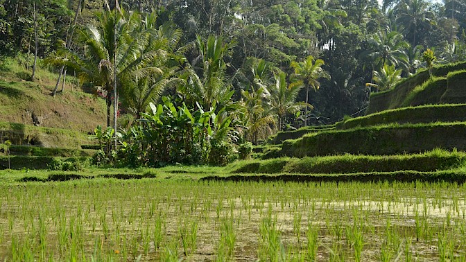 Quinoa Travel