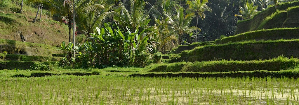 Quinoa Travel