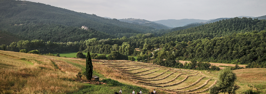 Quinoa Travel